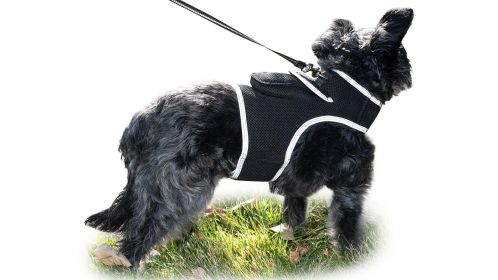 On-the-Clock Pet Surveillance with Pet Tracker GPS Pet Transmitter Tracker Size:XS