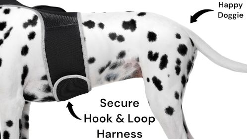 NEW GPS GSM Realtime Dog Tracking System Waterproof Collar Pet Tracker Size:M