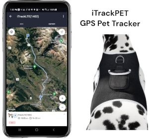 Wireless GSM GPS Dog Tracking Collars Waterproof GPRS Locator Device Size:M