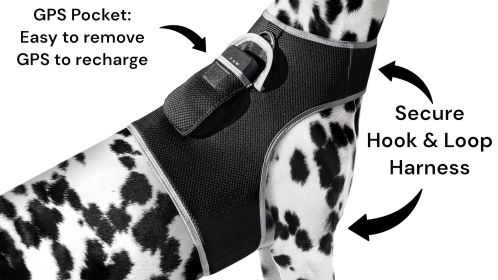 Pet Tracker GPS Dog Collar High Rated Reviews Waterproof Tracking Device Size:M