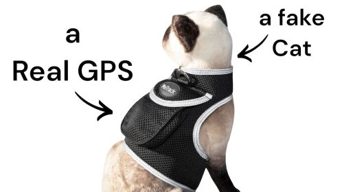 Pet Safe - Pet Tracker Mini Collar GPS Tracking for Dogs Wireless Locator Size:L