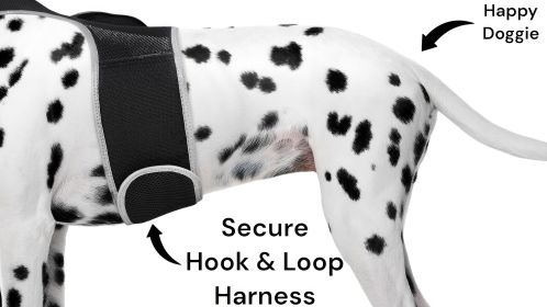 NEW Realtime GPS Tracking Device Portable Waterproof GSM Pet Locator Size:L